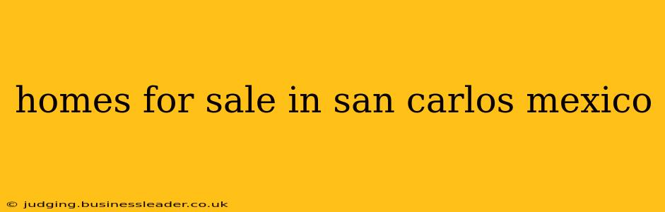 homes for sale in san carlos mexico