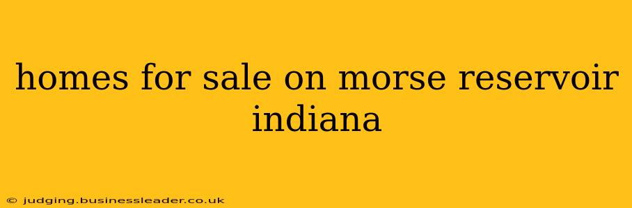 homes for sale on morse reservoir indiana