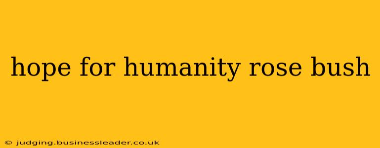 hope for humanity rose bush