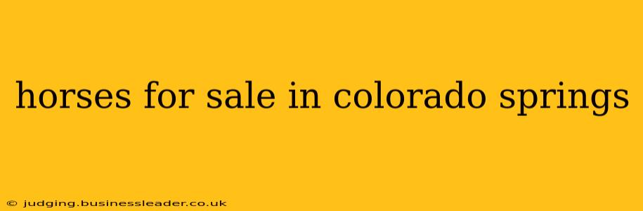horses for sale in colorado springs