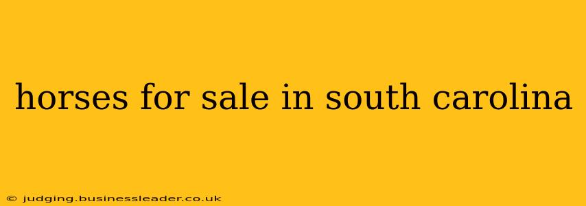 horses for sale in south carolina