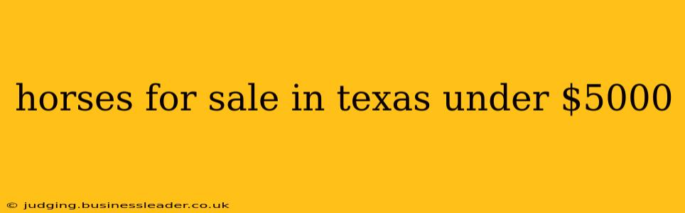 horses for sale in texas under $5000