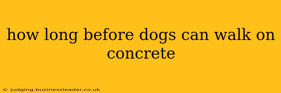 how long before dogs can walk on concrete