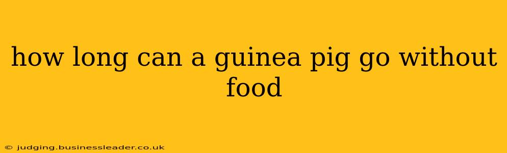 how long can a guinea pig go without food
