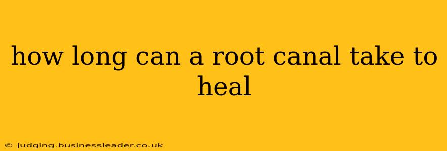 how long can a root canal take to heal
