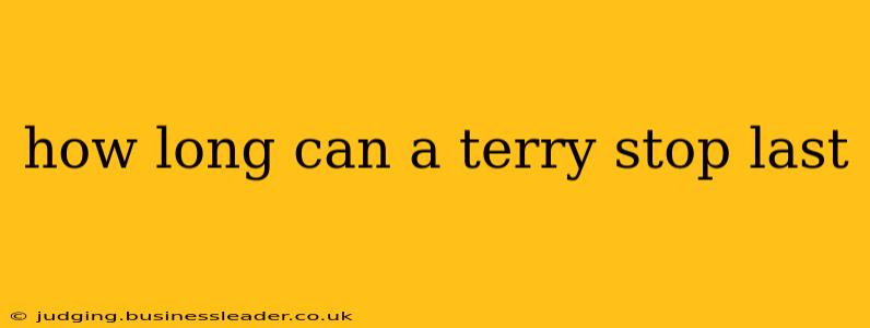 how long can a terry stop last