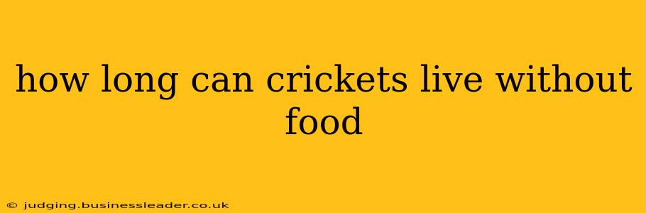 how long can crickets live without food
