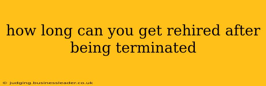 how long can you get rehired after being terminated