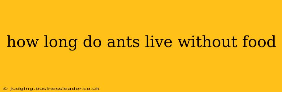 how long do ants live without food