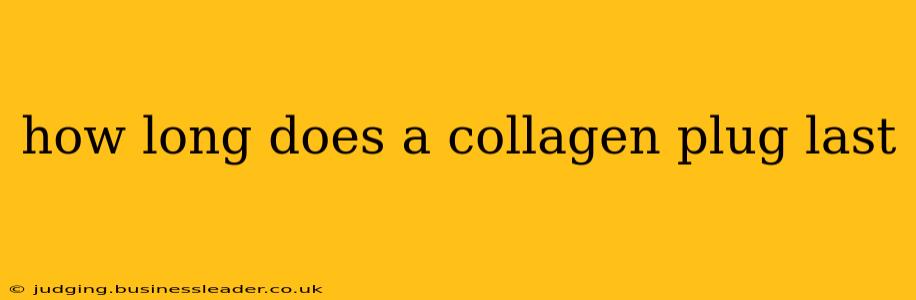 how long does a collagen plug last