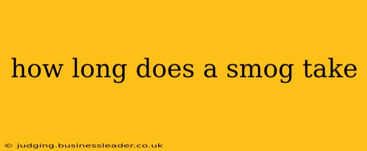 how long does a smog take