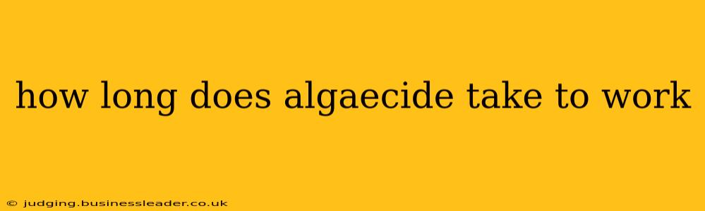 how long does algaecide take to work