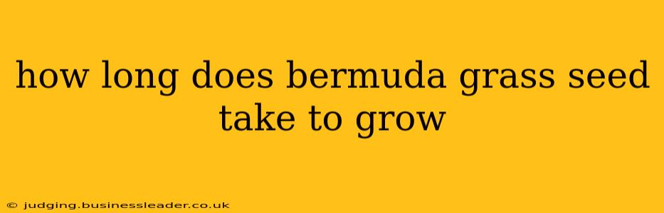 how long does bermuda grass seed take to grow