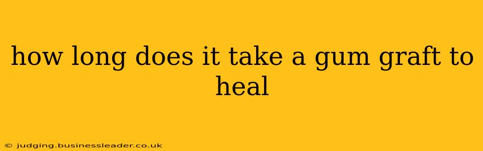 how long does it take a gum graft to heal