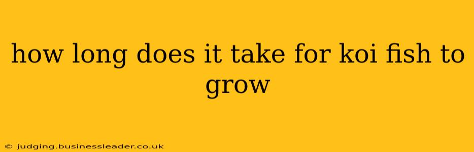 how long does it take for koi fish to grow
