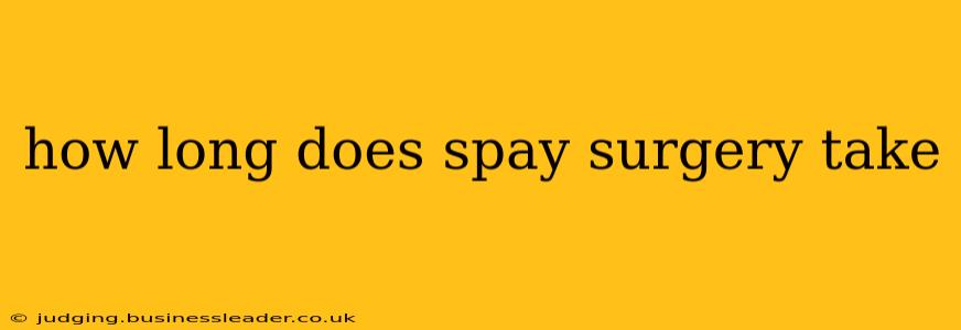 how long does spay surgery take