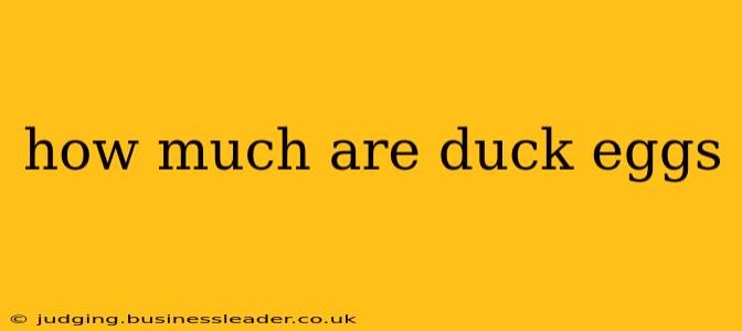 how much are duck eggs