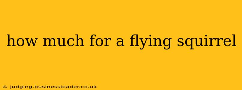 how much for a flying squirrel