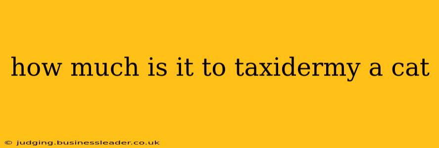 how much is it to taxidermy a cat