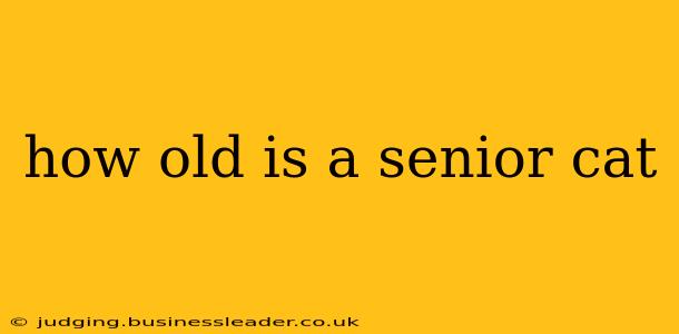 how old is a senior cat