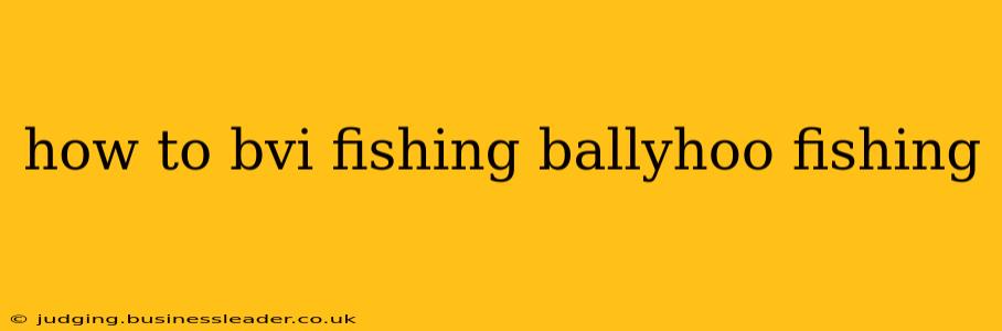 how to bvi fishing ballyhoo fishing