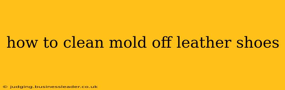 how to clean mold off leather shoes