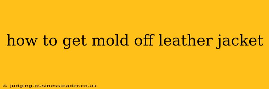 how to get mold off leather jacket
