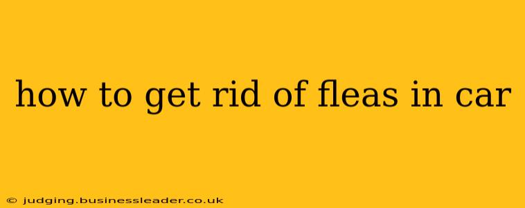 how to get rid of fleas in car