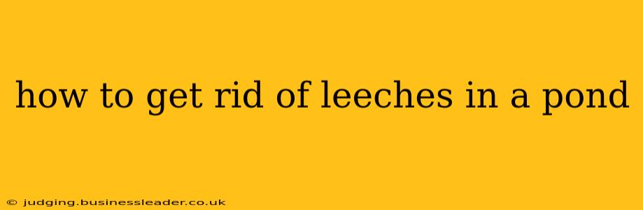 how to get rid of leeches in a pond