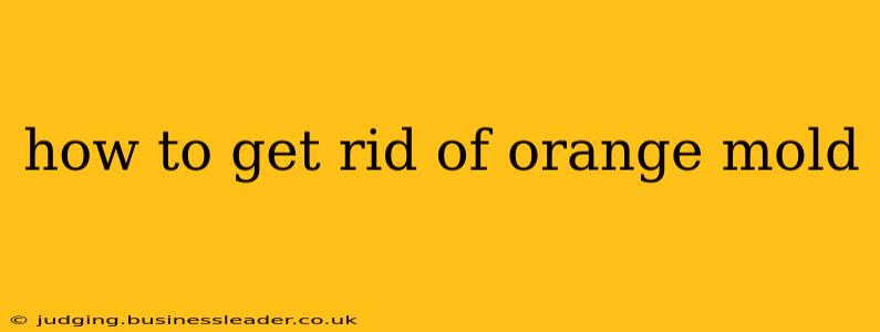 how to get rid of orange mold
