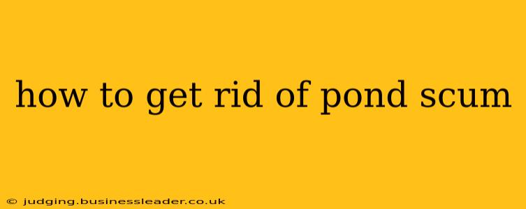 how to get rid of pond scum