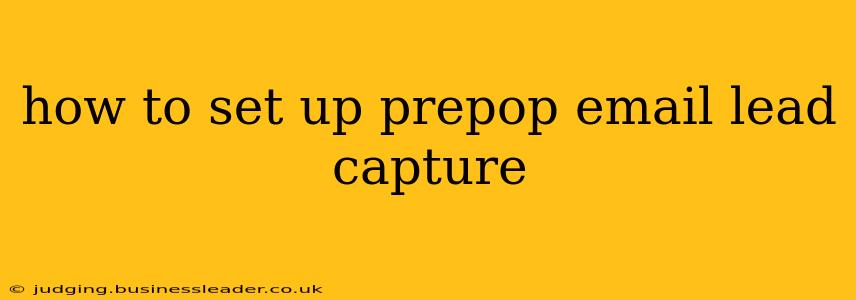 how to set up prepop email lead capture