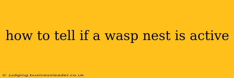 how to tell if a wasp nest is active