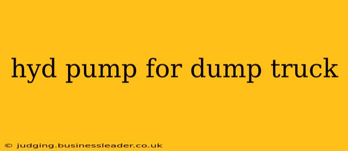 hyd pump for dump truck