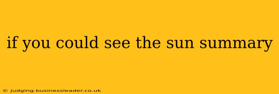 if you could see the sun summary