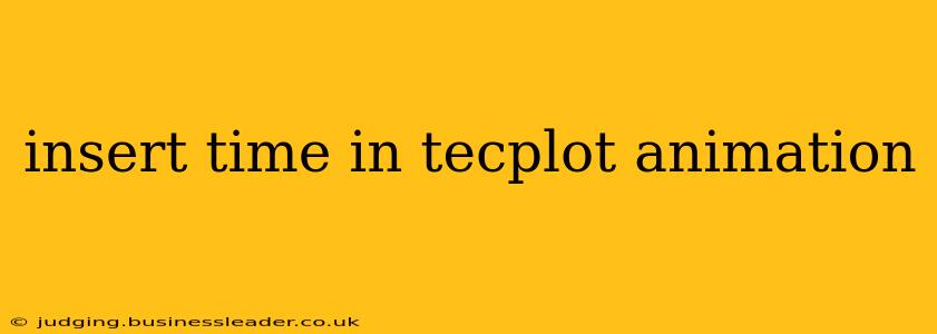 insert time in tecplot animation