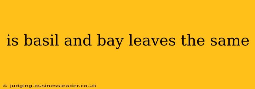 is basil and bay leaves the same
