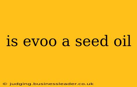 is evoo a seed oil