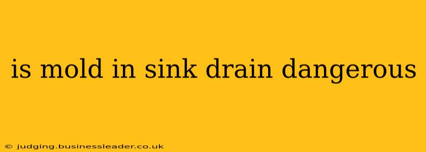 is mold in sink drain dangerous