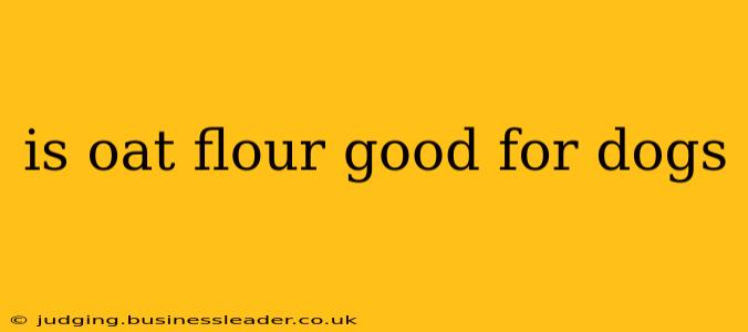 is oat flour good for dogs