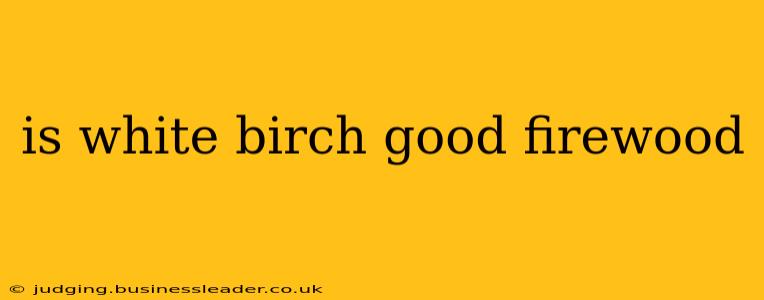 is white birch good firewood