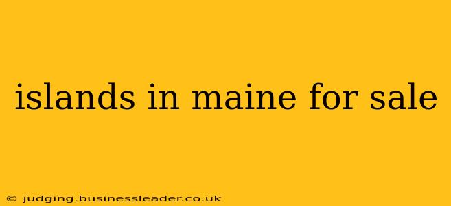 islands in maine for sale