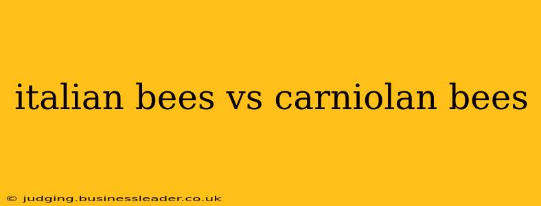 italian bees vs carniolan bees