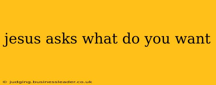 jesus asks what do you want
