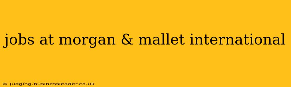 jobs at morgan & mallet international