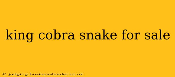 king cobra snake for sale