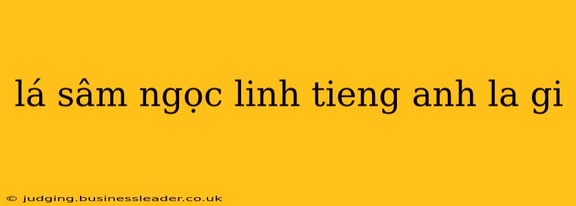 lá sâm ngọc linh tieng anh la gi