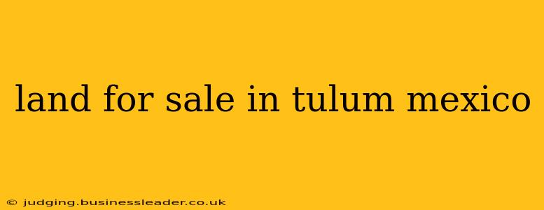 land for sale in tulum mexico