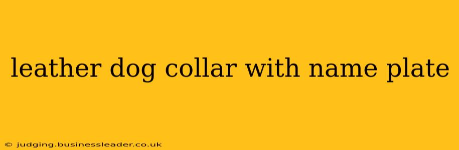leather dog collar with name plate