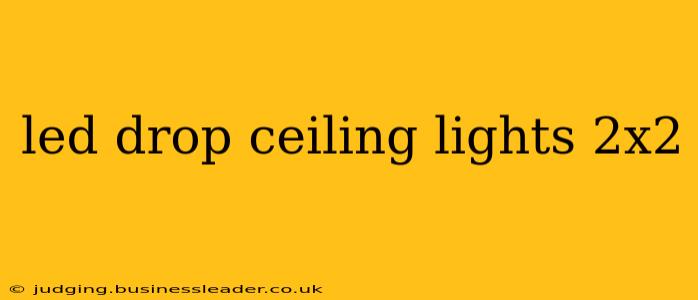 led drop ceiling lights 2x2